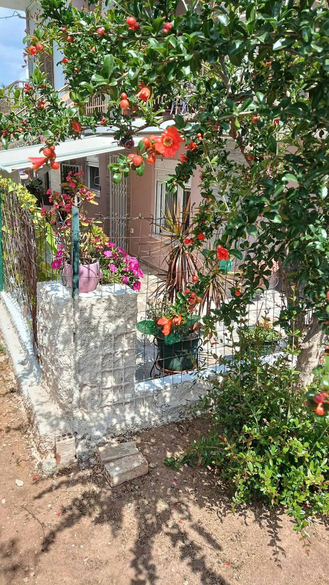 Melograno Apartment Markópoulon Exterior foto